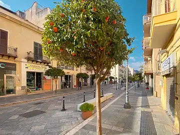 Des arbres chargés d'oranges mûres en février dans la zone piétonne de Bagheria.