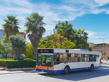 Bus der Nahverkehrs-Gesellschaft AMAT an einer schattigen Haltestelle in Palermo.