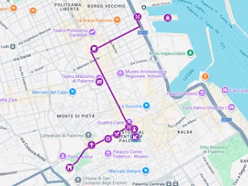 Karte auf Google Maps für Kreuzfahrer