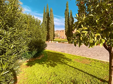 Palermo ☀ Sonne im Winter - Piazza Magione