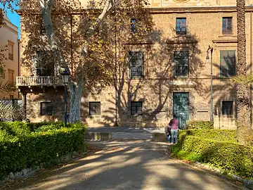 Les arbres du parc « Villa Bonanno » à Palerme projettent leurs longues ombres sur le bâtiment situé en face.