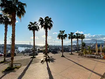 Les palmiers du port de Porticello projettent de longues ombres sous le soleil d'hiver.