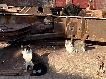 Sizilien konzentriert - Santa Flavia - Porticello - Winter