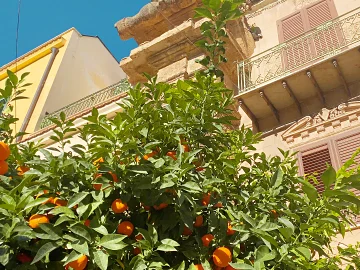 Sizilien konzentriert - Winter - Bagheria - Altstadt