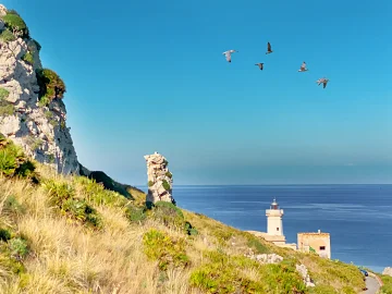 Sizilien konzentriert - Winter - Santa Flavia - Capo Zafferano
