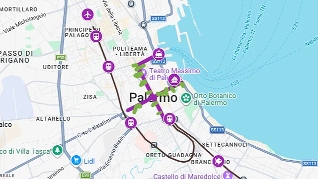 Ausschnitt aus einer historischen Karte, der die Innenstadt und den Hafen von Palermo zeigt.