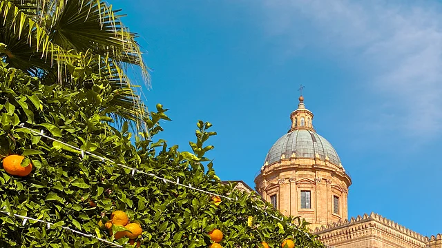 Sizilien konzentriert - Palermo ☀ Sonne im Winter - Kathedrale mit Orangen